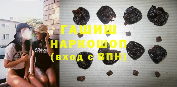спайс Каменка