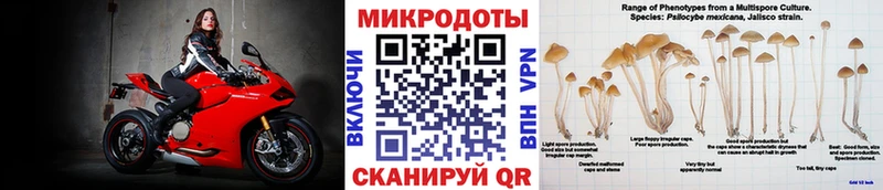 купить наркоту  Никольское  ОМГ ОМГ зеркало  Псилоцибиновые грибы GOLDEN TEACHER 